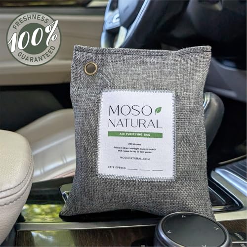 Air Purifying Bag 200g (3 Count)