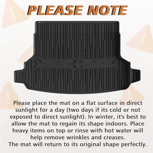 Trunk Mat for 2025