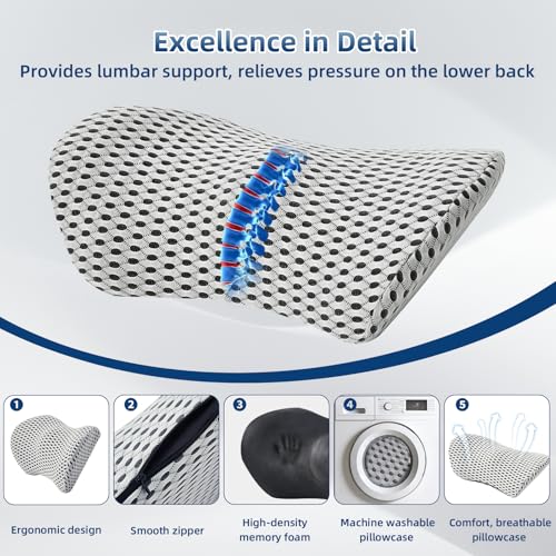 Lumbar Pillow