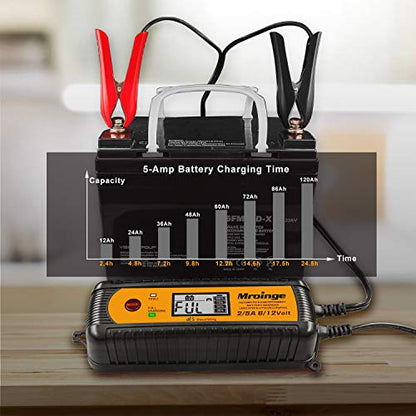 Smart Battery Charger