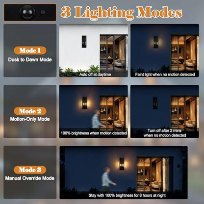 16 Inch Motion Sensor Dusk to Dawn Outdoor Porch Lights 2 Pack (2 Count)