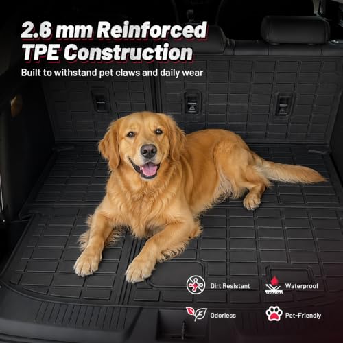 Floor Mats for Toyota RAV4 2019