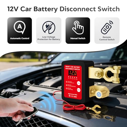 Remote Battery Disconnect Switch 12V (4 Count)