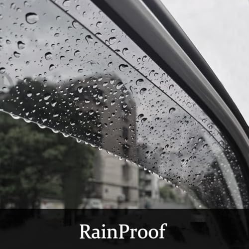 Window Visors Dark Smoke Rain Guards for 2010