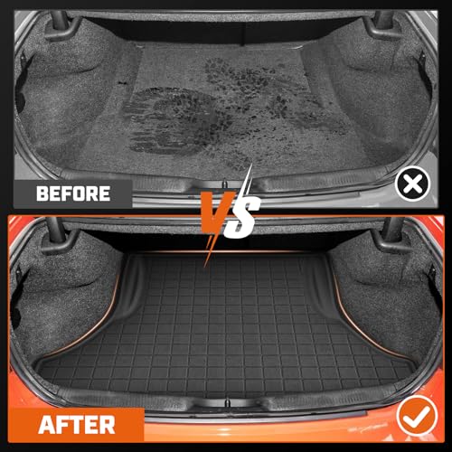 Floor Mat & Cargo Liner for 2011