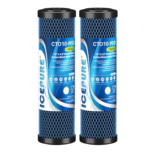 1 Micron 10" x 2.5" Whole House PFOA (2 Count)