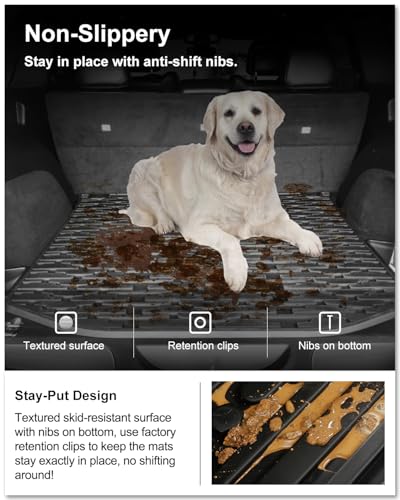 Floor Mats & Cargo Mat for 2016