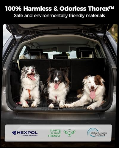 Cargo Liner & Backrest Mat for 2024