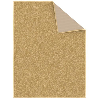 2x3 Entryway Rug