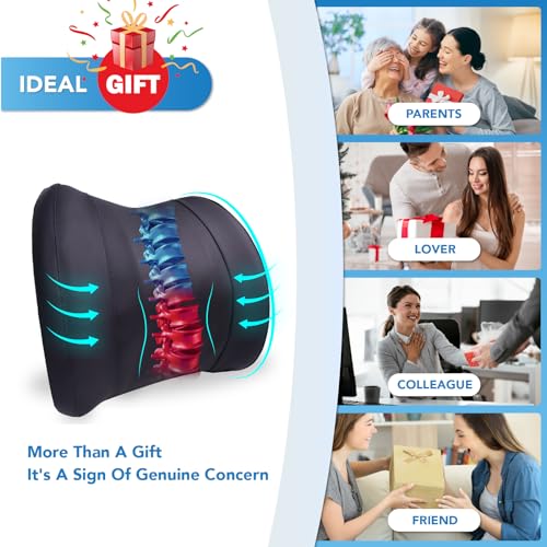 Lumbar Support Pillow for Car