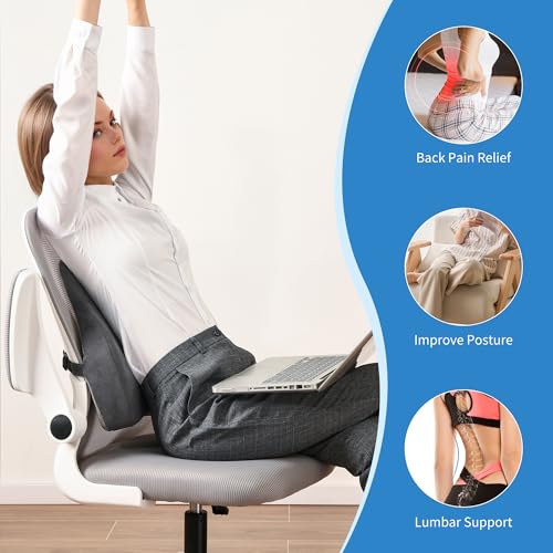 Lumbar Support Pillow for Office Chair