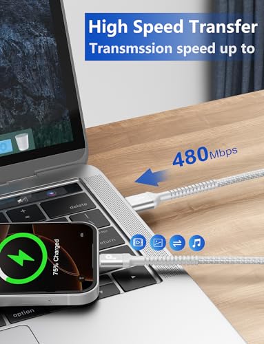 USB C Cable [2 Pack