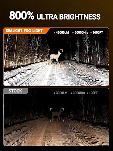 H13 Fog Light Bulbs