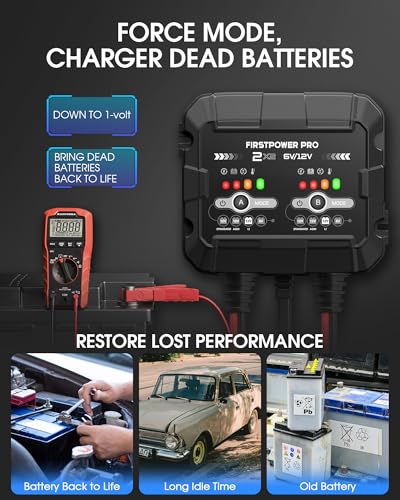 2-Bank, 4A (2A/Bank) Trickle Charger for Car Battery, 12V 6V Car Battery Charger, Automotive Battery Trickle Charger, Maintainer, for Motorcycle Lawn Mower AGM, Lithium Batteries - 1PC