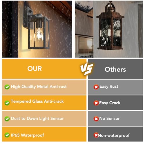 Dusk to Dawn Outdoor Light Fixtures (2 Count)