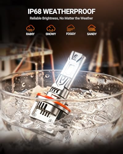 H11B LED Bulbs (2 Count)