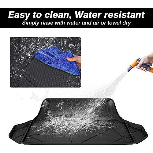 Trunk Cargo Mat for 2011