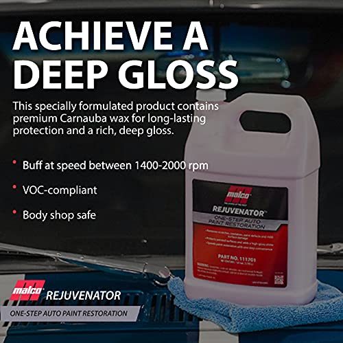 Paint Rejuvenator One (128 Fl Oz)
