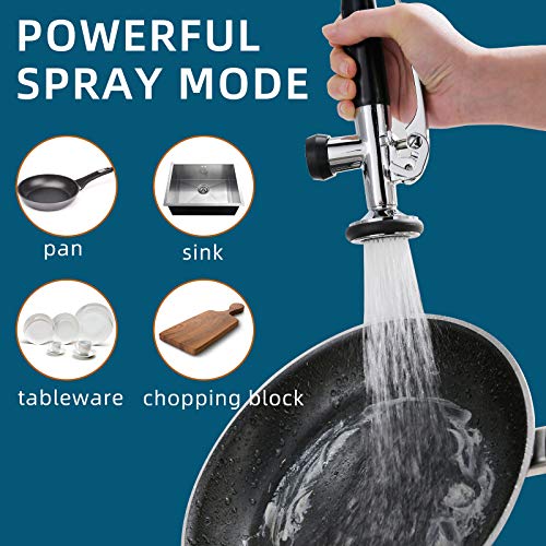 Chrome Kitchen Faucet with Sprayer