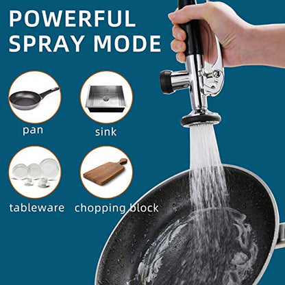 Chrome Kitchen Faucet with Sprayer