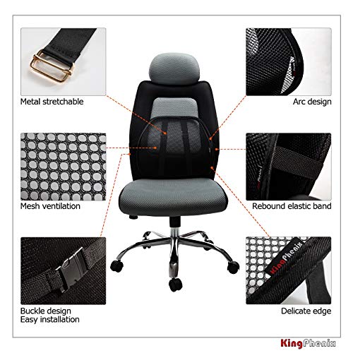 2 Pack Mesh Lumbar Support for Car and Office Chair Comfort (2 Count)
