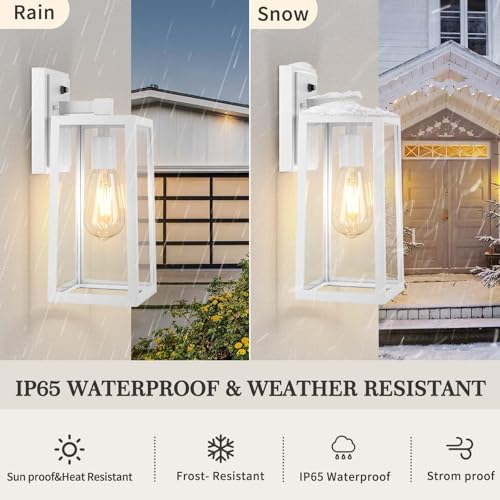 Dusk to Dawn Outdoor Lighting Fixtures Wall Mount (2 Count)