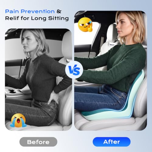 Car Seat Cushion and Lumbar Support Pillow One Piece