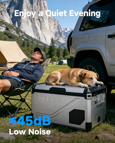 12V Car Refrigerator