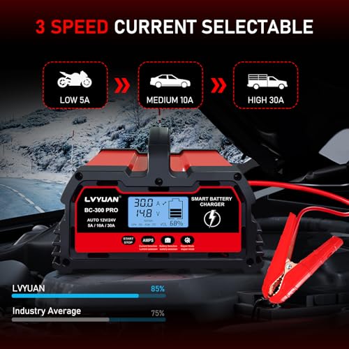 30Amp Smart Car Battery Charger