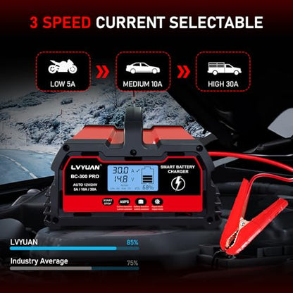 30Amp Smart Car Battery Charger