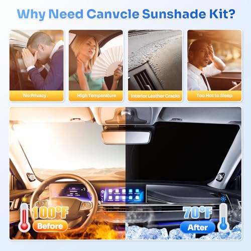 Window Shades for 2013 (8 Count)