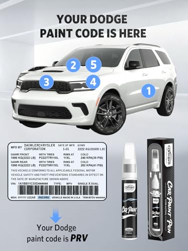 Vapor Gray PAS