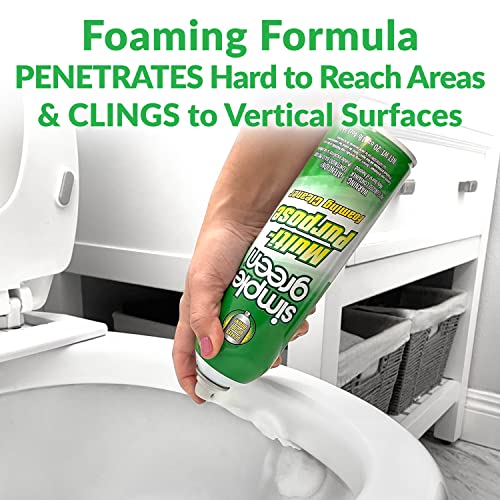 All Purpose Foaming Aerosol Cleaner (40 Ounce)