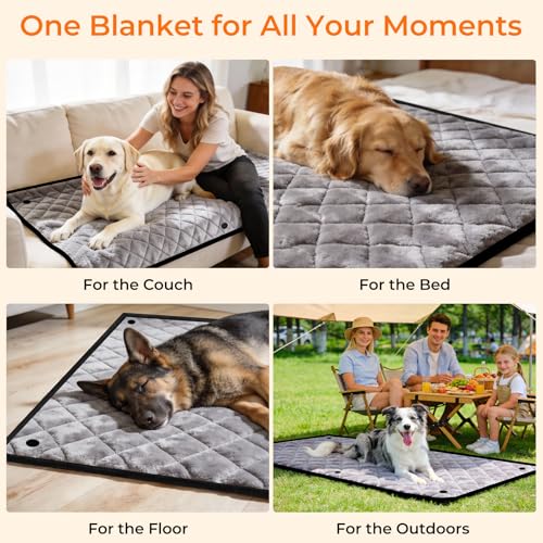 Hard Bottom Dog Car Seat Cover
