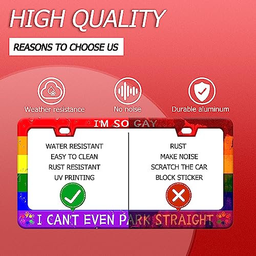 I'm So Gay I Can't Even Park Straight License Plate Frame 12.3"x6.3"