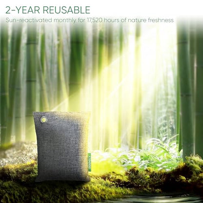 Activated Charcoal Odor Absorber
