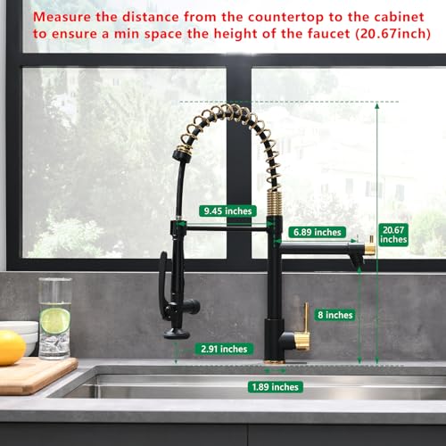 Black&Gold Kitchen Faucet with Sprayer