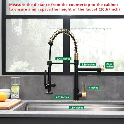 Black&Gold Kitchen Faucet with Sprayer