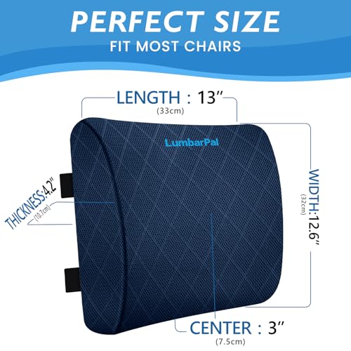 Lumbar Support Pillow for Office Chair