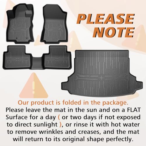 Trunk & Floor Mats for 2025