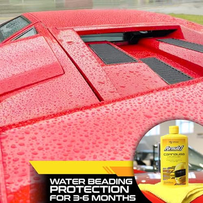 Carnauba Car Wax Liquid (16 Fl Oz)