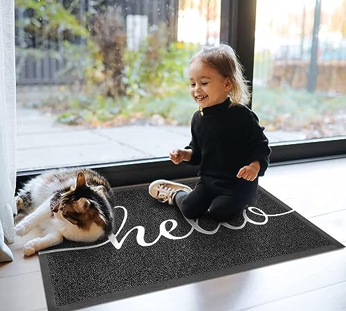 Door Mat 2 Pack Outside Inside Hello Doormat 30"x17.5" Durable Floor Mat Non Slip Mat Ultra Absorb Mud Easy Clean Front Doormat for Garage (2 Count)