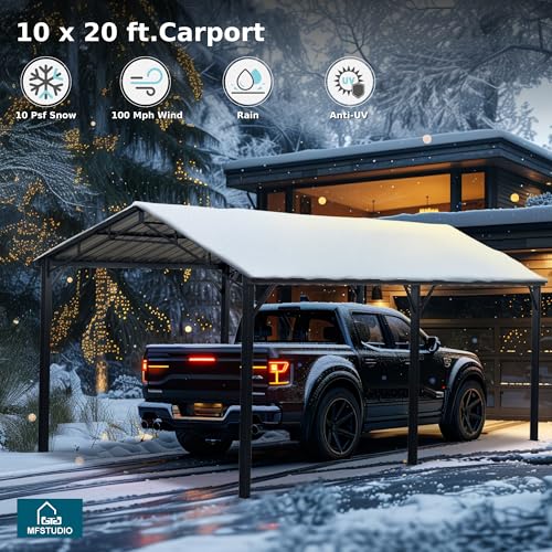 Metal Carport 10x20ft