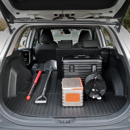 Cargo Mat for 2019