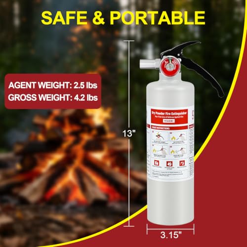 2 Pack ABC Fire Extinguishers with Mount (2 Count)
