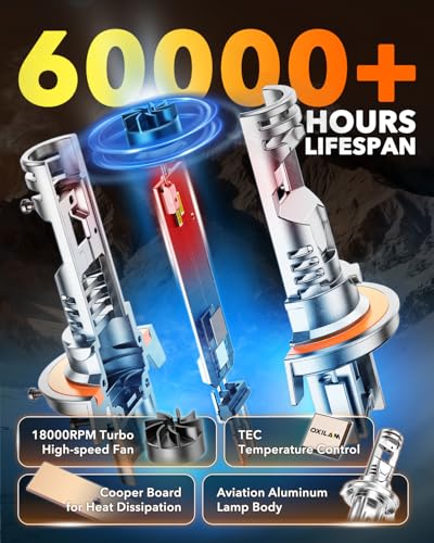 H13 LED Bulbs (2 Count)