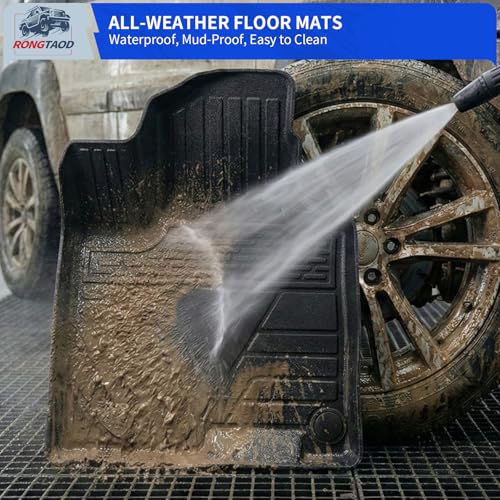 Floor Mats Set for 2022