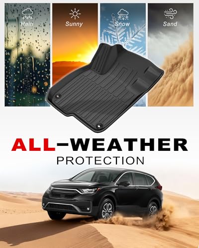 Floor Mats Fit for 2017