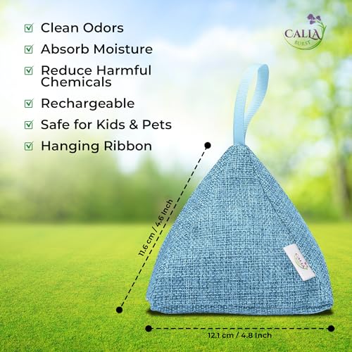 4 Pack Bamboo Charcoal Air Purifier Bags 200 Grams Each (28 Ounce)