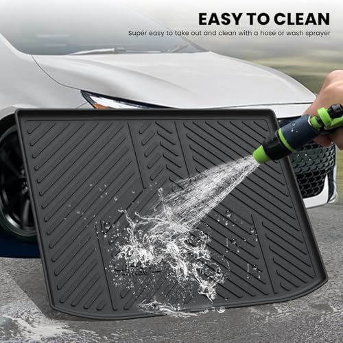 Cargo Trunk Mat for 2019